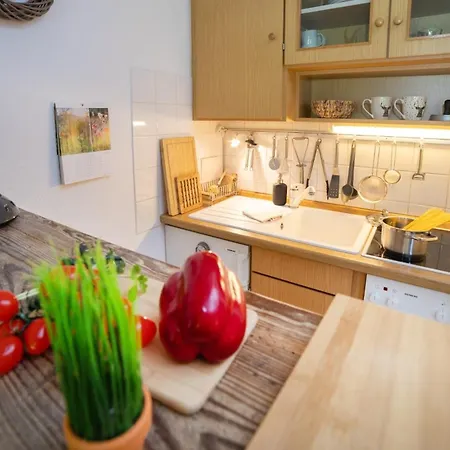 아파트 Der Berg Ruft 상트안드레스베르크